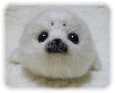 冬バテ丸さんのプロフィール画像