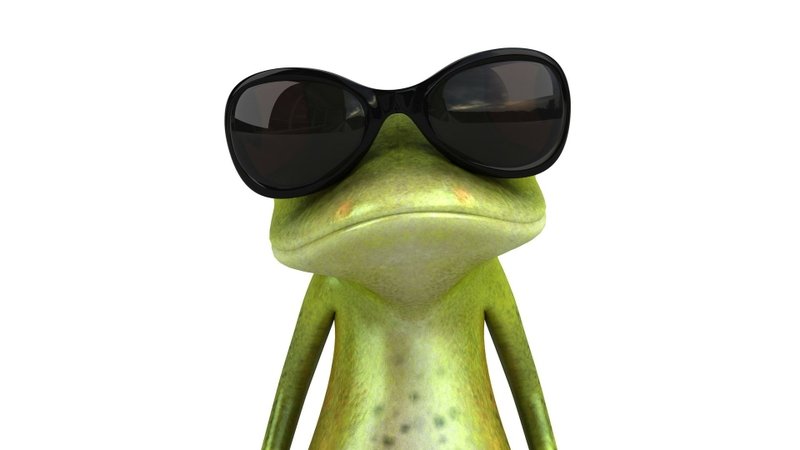 Real Boss. Pimp. Hustler. I Whooped That Trick.