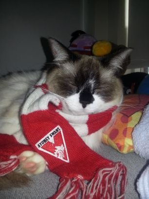 Reader, cook, Swans fan. Of the Vaudeville Snarks. Not those other ones
