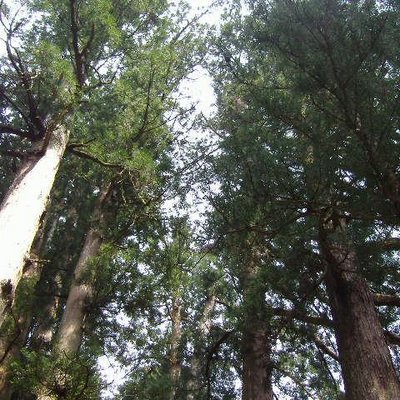 Tent その他 椎野美由貴さん関連めも バイトで螺旋のウィザードとプリンセス Http T Co Fiebsetlow バイトでウィザード 完結章 かがやけ未来 と魔女は笑った Http T Co 106o0hxkdu ってか完結章とか聞いてない これは気付けなかったなぁ Tent その他 椎野美由貴さん関連めも バイトで螺旋のウィザードとプリンセス Http T Co Fiebsetlow バイトでウィザード 完結章 かがやけ未来 と魔女は笑った Http T Co 106o0hxkdu ってか完結章とか聞いてない これは気付けなかったなぁ