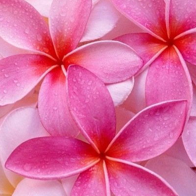 a63h21's profile picture. 