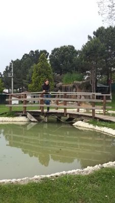 BetulHassoy's profile picture. 