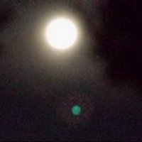 Talita Souvenir (@pachacu_t) 's Twitter Profile