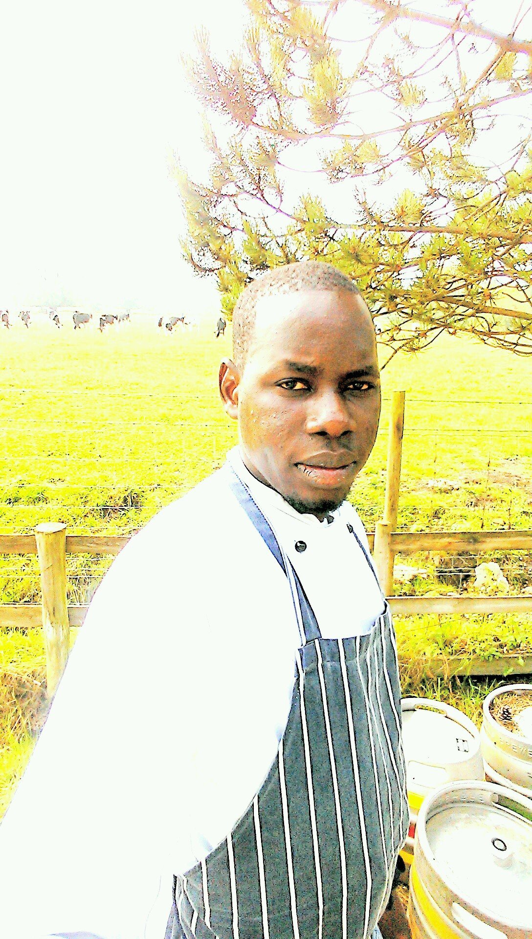 freelance chef bristol