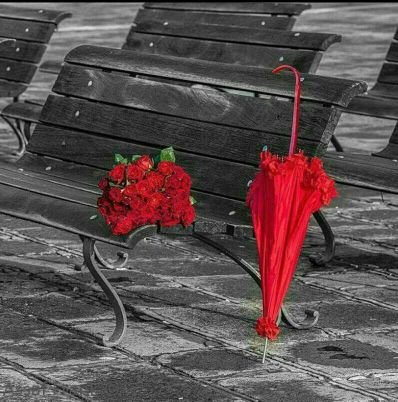 أعرف رجلا أفسدني بدلاله..يراني شمسه وقمره..هذا الرجل حملني من اﻷرض..واسكنني فوق السحاب وجعلني فتاته المدللة إنه سر سعادتي عفوآ رجال العالم لستم مثل أبي♥