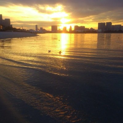 赤林檎さんのプロフィール画像