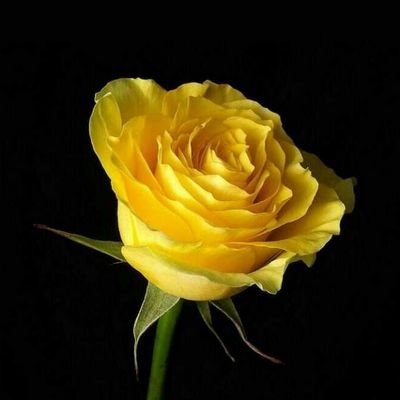 تراا اللي يغار على اتفه الاسباب؟ قسم بالله ، يحبك من قلب قلبه .