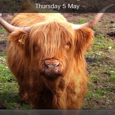 gasw131's profile picture. 