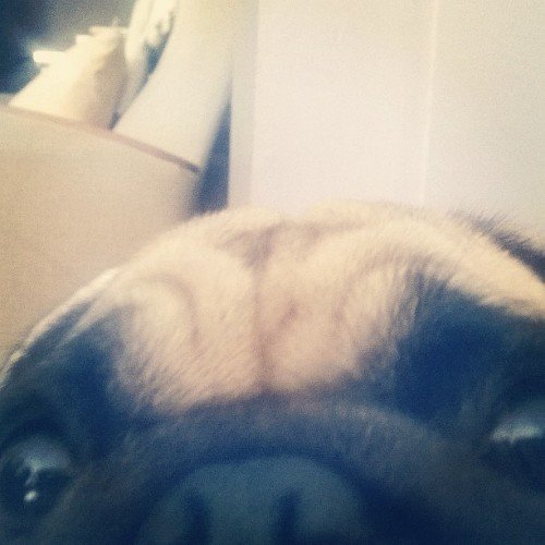 BIGNAXO1's profile picture. 