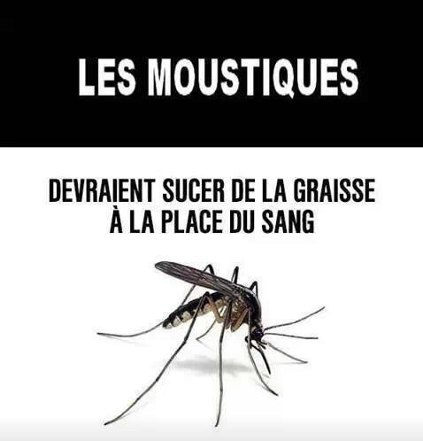 Lol lol lol