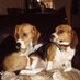 MarliesLandmanCoumou (@landmanco) Twitter profile photo