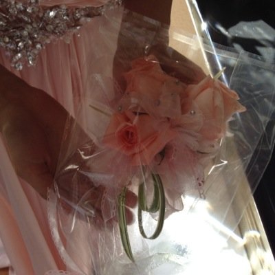 blancafvillegas's profile picture. 