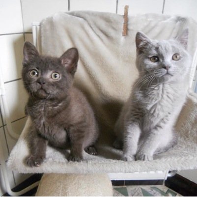 Axelsoeur16Mark's profile picture. 3B