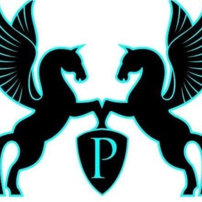 Jennifer Taylor Chartered Physio, Veterinary Physio, Horse rider specialist, First Contact Practitioner