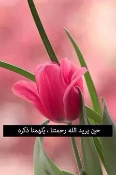 ensaf414's profile picture. ‏‏عضو هيئة التدريس جامعة الملك عبدالعزيز  واعلامية ومتخصصة    ومدربة ومهتمة بقضايا الأسرة والمرأة والمشروع الحضاري الإسﻻمي  والمديرةلشركة الإعلام الجديد الأردن