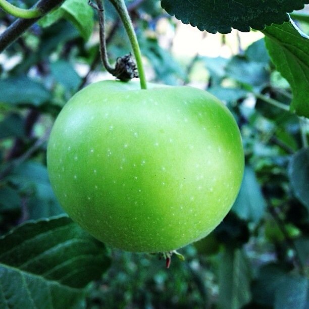 dabstoz's profile picture. 