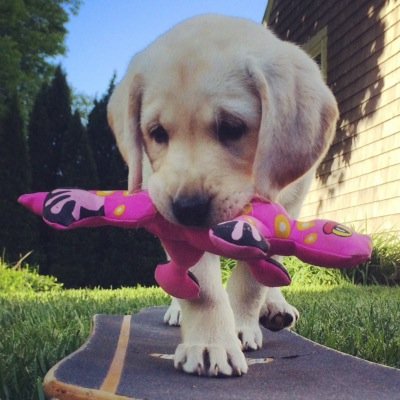 susanh8_'s profile picture. Art Teacher & Creativity Inspirer 🎨