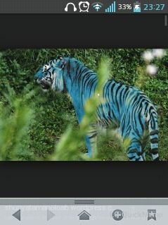 bluetigers11's profile picture. Intentare ser un gran youtuber XD