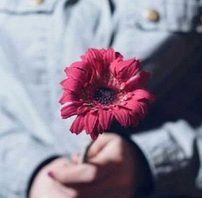 mo_na5555's profile picture. ‏‏‏صديقتي ..اعوذ من كل شي شي يؤذيك ويوذي قلبك ربي لاتحرمني صديقتي واجعل طريق السعاده درب لها  @mo_na55