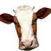 Hanworth Herd (@hanworthherd) Twitter profile photo