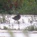 OuseFenBirder now on Bluesky (@ousefenbirder) Twitter profile photo OuseFenBirder now on Bluesky (@ousefenbirder) Twitter profile photo