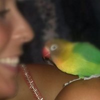 Moni Lacarra (@moni78moni) 's Twitter Profile