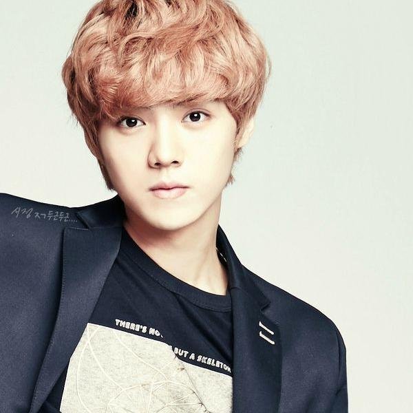 Zayd Lee Tyler.an Extrovert student.28 April 1994.Yang-shim Academy.[1★]