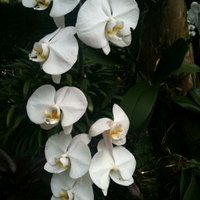 Lamiae Bennani (@lbelbe2014) 's Twitter Profile