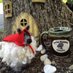 SmokyMtnSpinnery (@smokymtnspinner) Twitter profile photo
