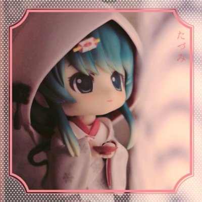 たづ(๑´ㅂ`๑)🐘🩵さんのプロフィール画像