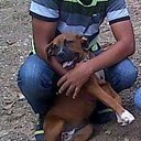 jorge martinez (@2312Jorge) Twitter