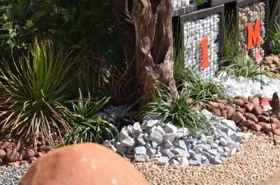 danie_bruin's profile picture. stone Image http://t.co/mN6CW6cSH8