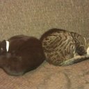 Inge Spang - @AnnaAngelanna81 - Twitter