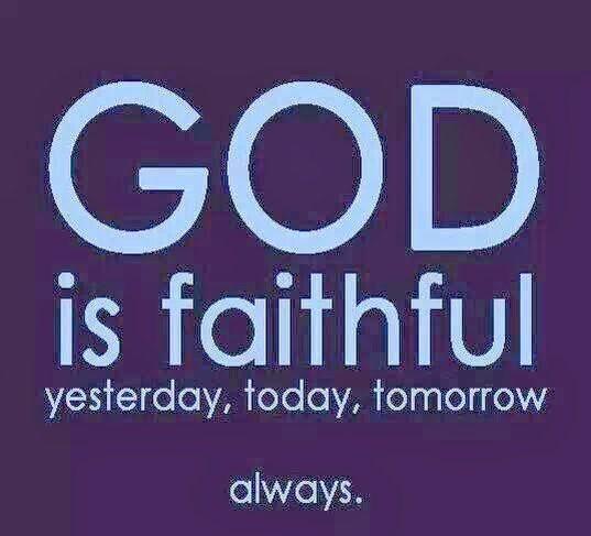 annong13's profile picture. 