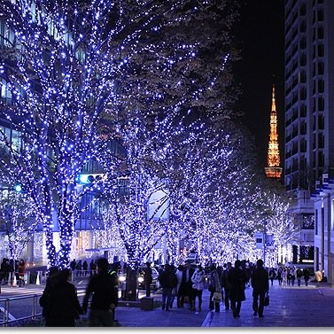 AntArmament's profile picture. 