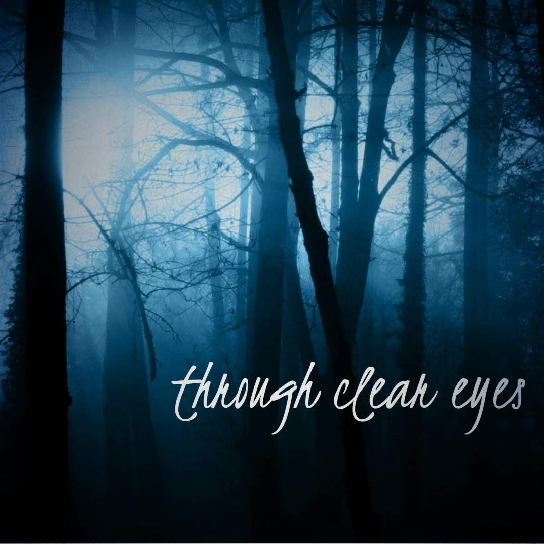 Unsigned rock band from the sunny Florida! EP About You Coming soon!