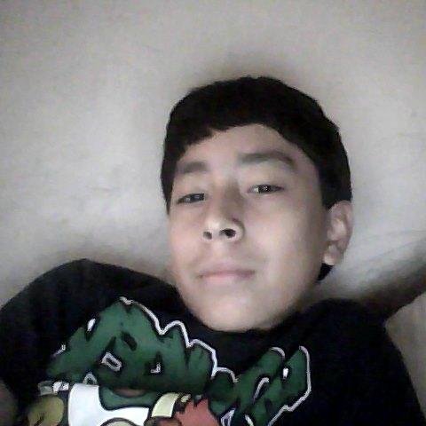 I am 11 years old - love The Thundermans NRDD Henry Danger The Haunted Hathaways Sam and Cat - love Minecraft - Birthday: December 27 - follow me, follow u back