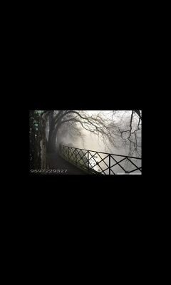 vinoth2293's profile picture. 