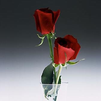 3Sadouki's profile picture. 