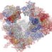 Ribosome Papers (@ribosome_papers) Twitter profile photo