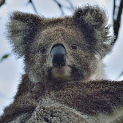 #Telecom engineer, passionate for technologies, #innovation and #ecommerce, world traveller, #photography lover (https://t.co/MbFxsR3aFa). Tweets are my own