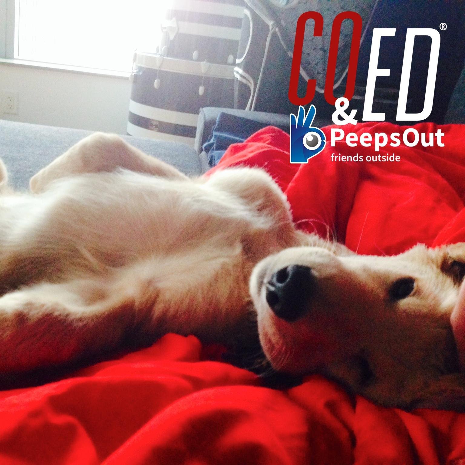 Greetings & Salutations! I'm BOURNE the PeepsOut Pup.  See what's happening LIVE in bars, clubs, and restaurants.  Download our app and Know Before You Go!