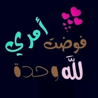 علمتني الفلسفة أن أفعل دون أوامر ما يفعله الآخرون خوفا من القانون. ...|