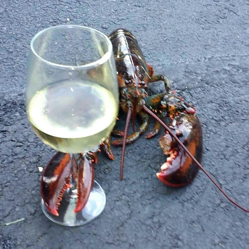 madbuc11's profile picture. Morning people