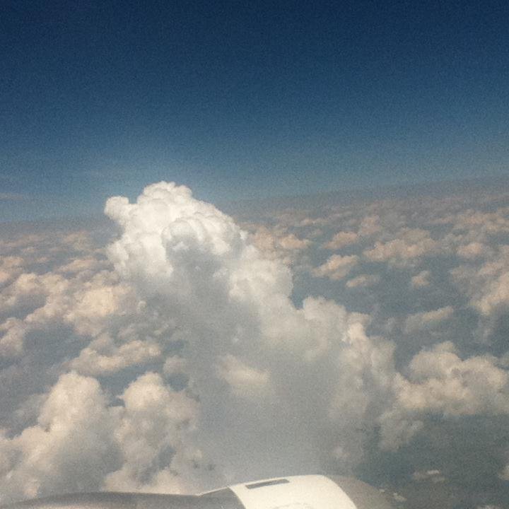 elianastefania's profile picture. 