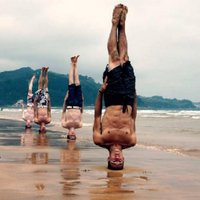 ellos (@ellossonellos) 's Twitter Profile