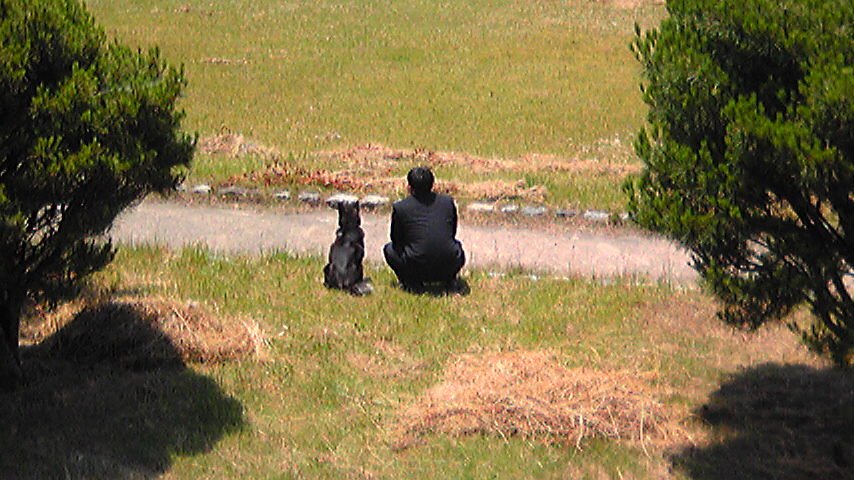 zzzz4096's profile picture. 