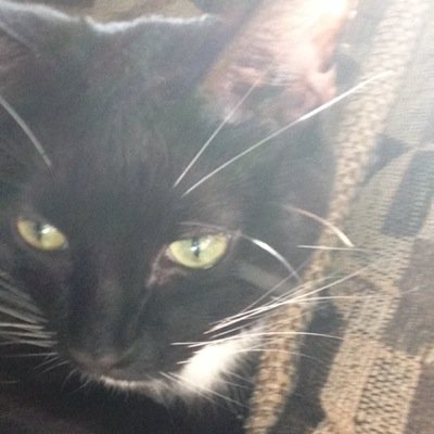 milenahardaway1's profile picture. 