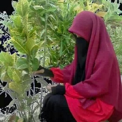hidup muliah atau mati syahid