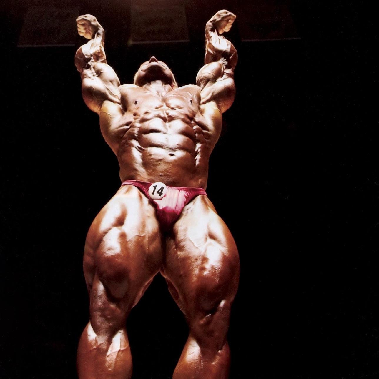We Provide Elite Supplements & Sports Nutritions For Elite Customers :-)